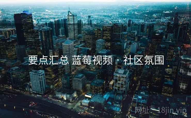 要点汇总 蓝莓视频 · 社区氛围