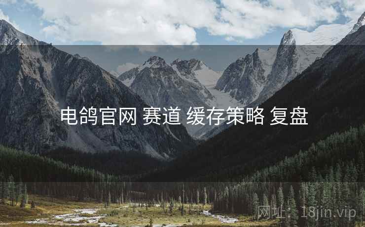 电鸽官网 赛道 缓存策略 复盘