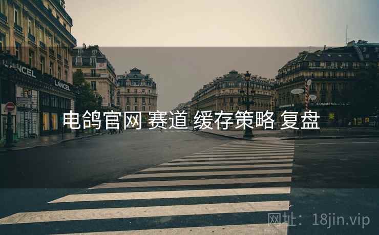 电鸽官网 赛道 缓存策略 复盘