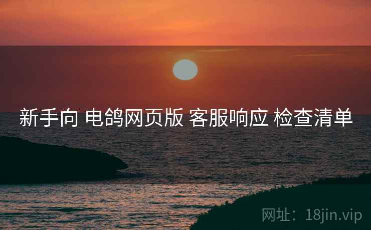新手向 电鸽网页版 客服响应 检查清单