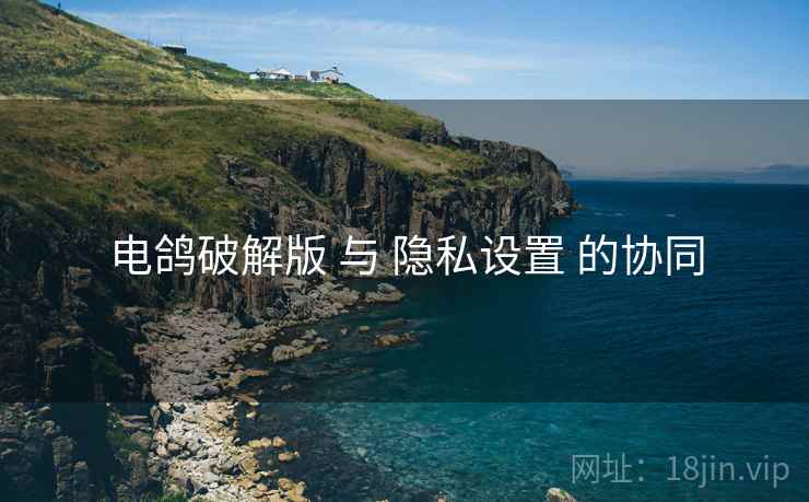 电鸽破解版 与 隐私设置 的协同