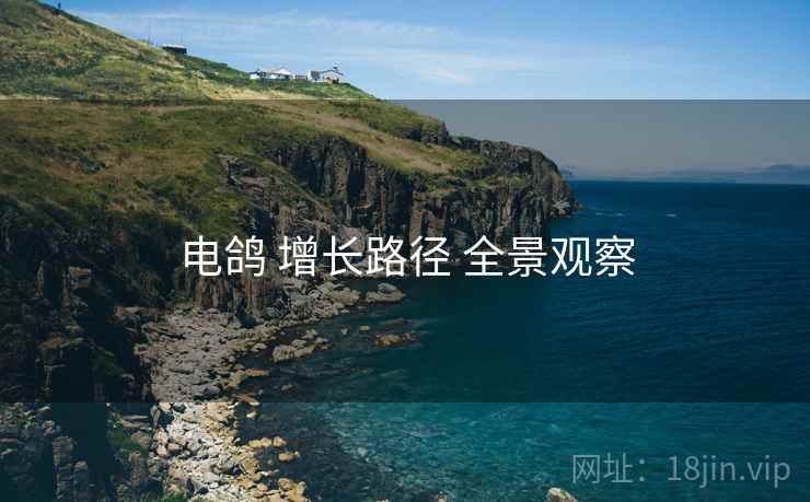 电鸽 增长路径 全景观察