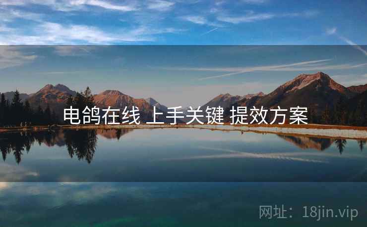 电鸽在线 上手关键 提效方案