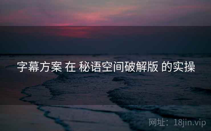 字幕方案 在 秘语空间破解版 的实操