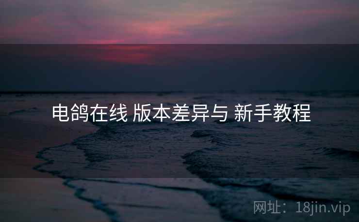 电鸽在线 版本差异与 新手教程