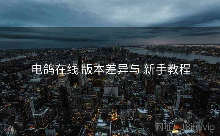 电鸽在线 版本差异与 新手教程