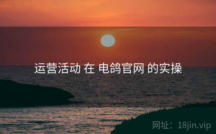 运营活动 在 电鸽官网 的实操