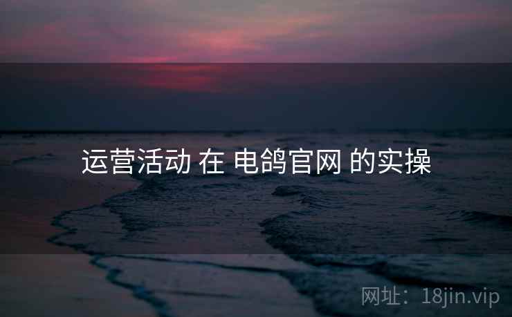运营活动 在 电鸽官网 的实操