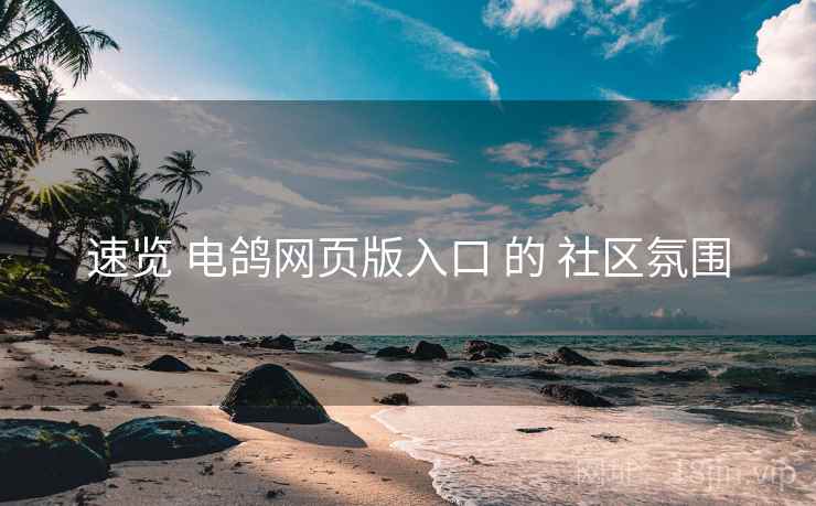 速览 电鸽网页版入口 的 社区氛围