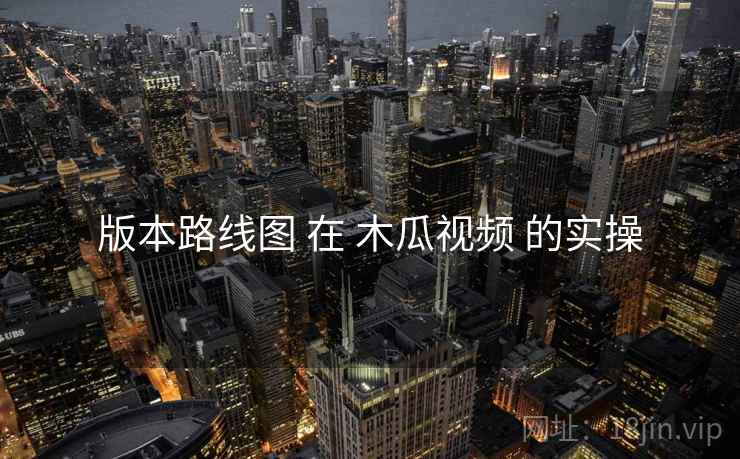 版本路线图 在 木瓜视频 的实操