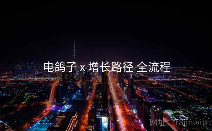 电鸽子 x 增长路径 全流程
