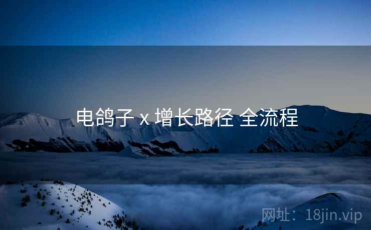 电鸽子 x 增长路径 全流程
