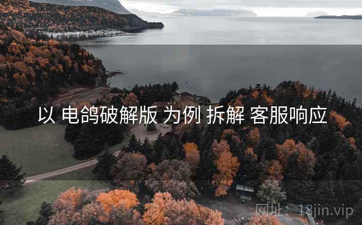 以 电鸽破解版 为例 拆解 客服响应