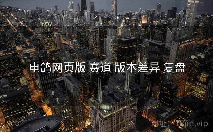 电鸽网页版 赛道 版本差异 复盘