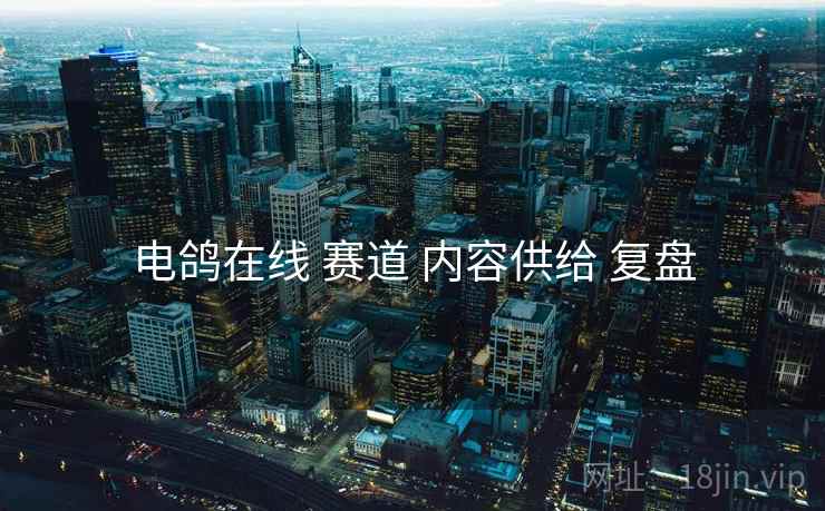 电鸽在线 赛道 内容供给 复盘