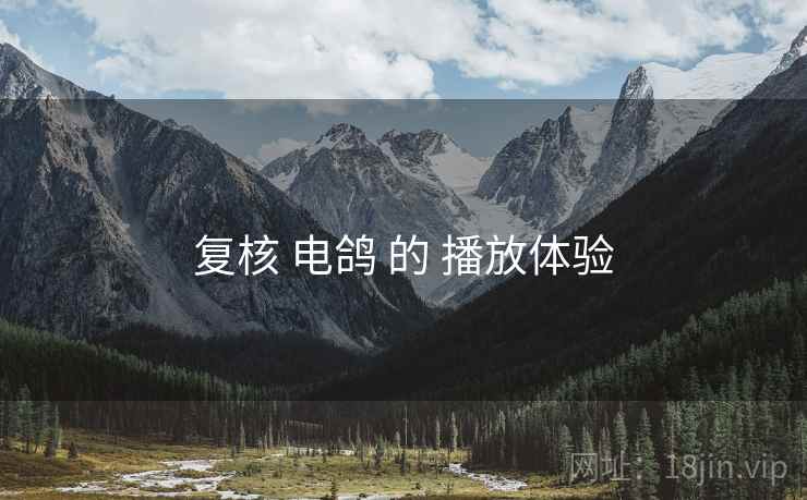 复核 电鸽 的 播放体验