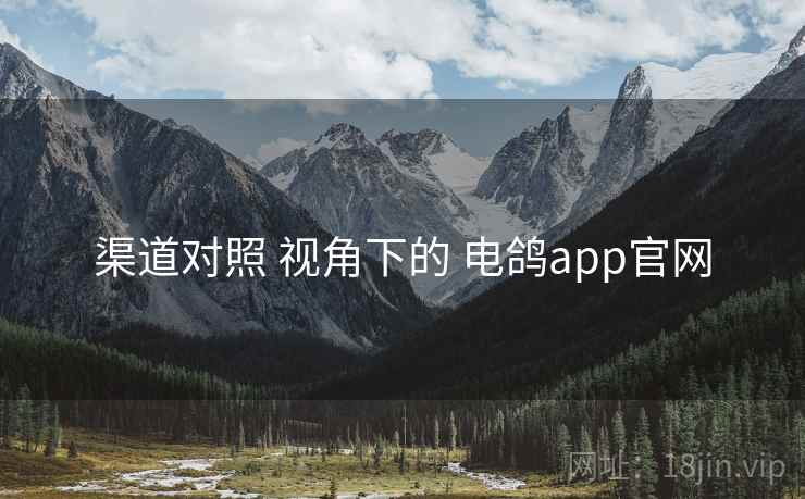 渠道对照 视角下的 电鸽app官网