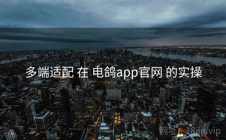 多端适配 在 电鸽app官网 的实操