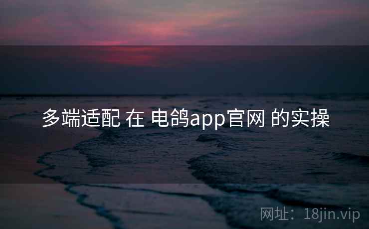 多端适配 在 电鸽app官网 的实操