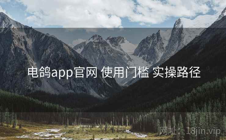 电鸽app官网 使用门槛 实操路径