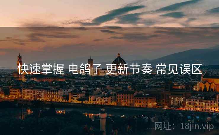 快速掌握 电鸽子 更新节奏 常见误区