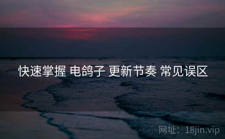 快速掌握 电鸽子 更新节奏 常见误区