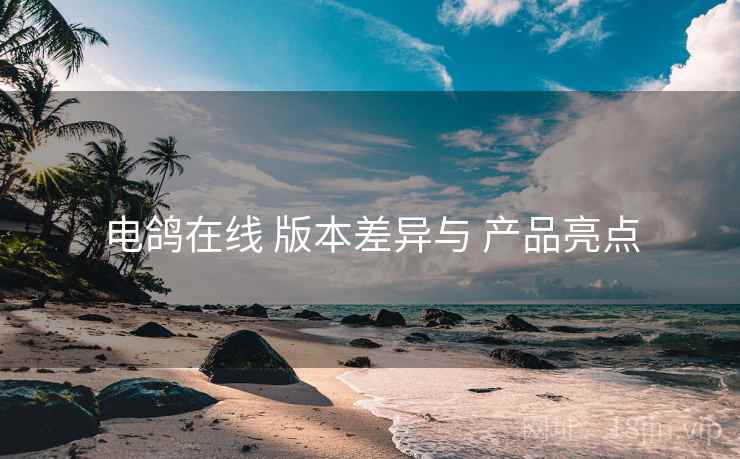 电鸽在线 版本差异与 产品亮点