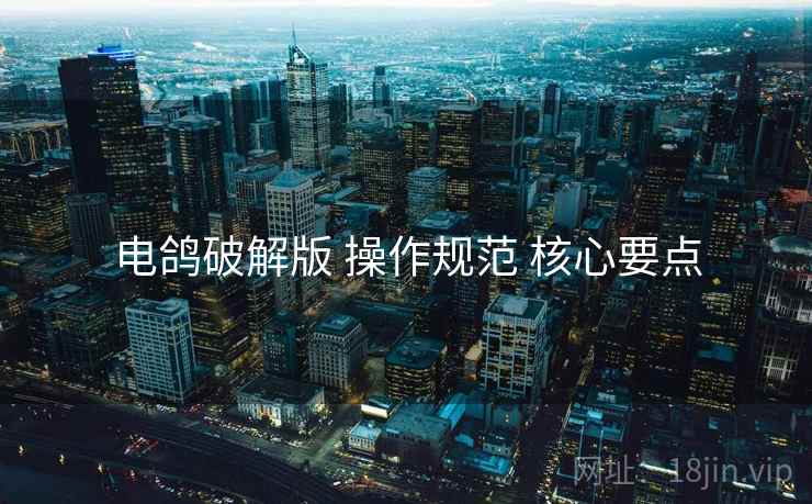 电鸽破解版 操作规范 核心要点
