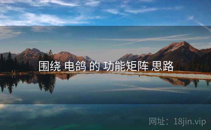 围绕 电鸽 的 功能矩阵 思路