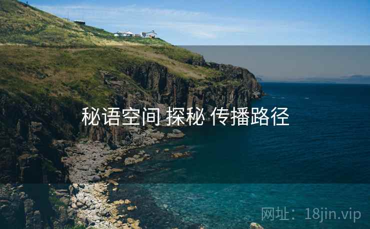 秘语空间 探秘 传播路径