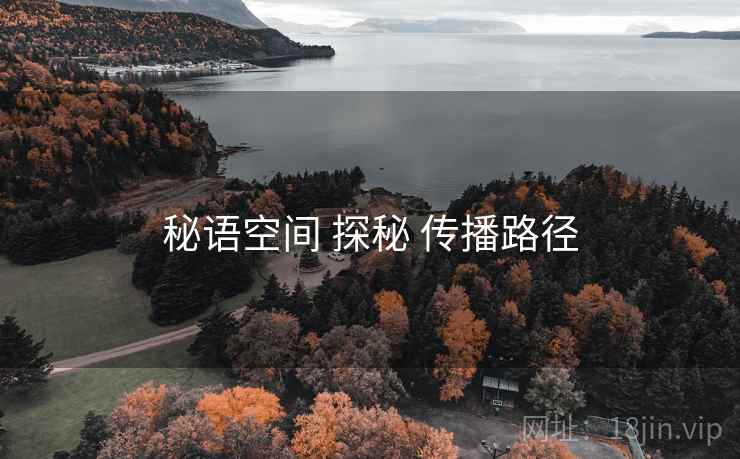 秘语空间 探秘 传播路径