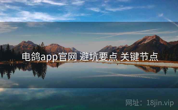 电鸽app官网 避坑要点 关键节点