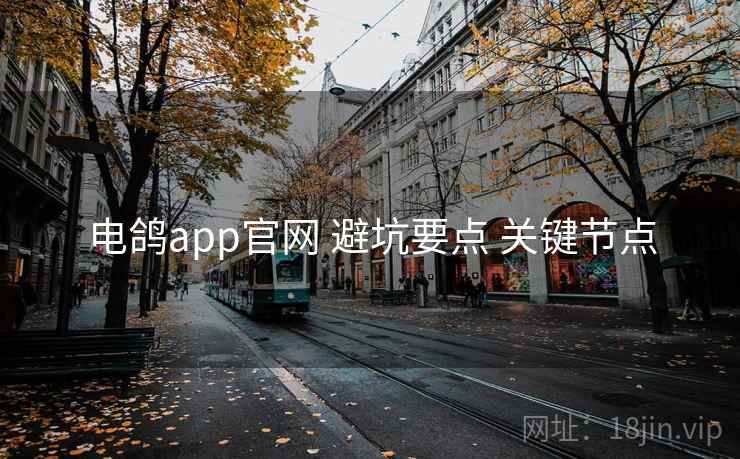 电鸽app官网 避坑要点 关键节点