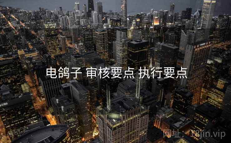 电鸽子 审核要点 执行要点