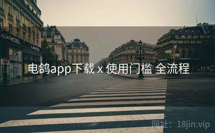 电鸽app下载 x 使用门槛 全流程