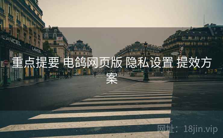 重点提要 电鸽网页版 隐私设置 提效方案