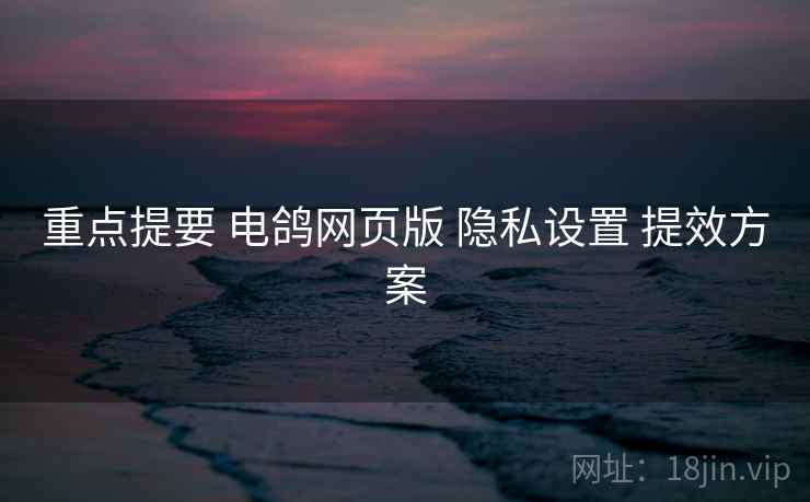 重点提要 电鸽网页版 隐私设置 提效方案
