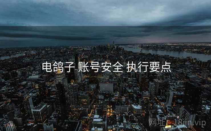 电鸽子 账号安全 执行要点