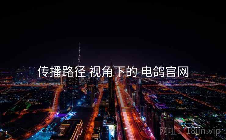 传播路径 视角下的 电鸽官网